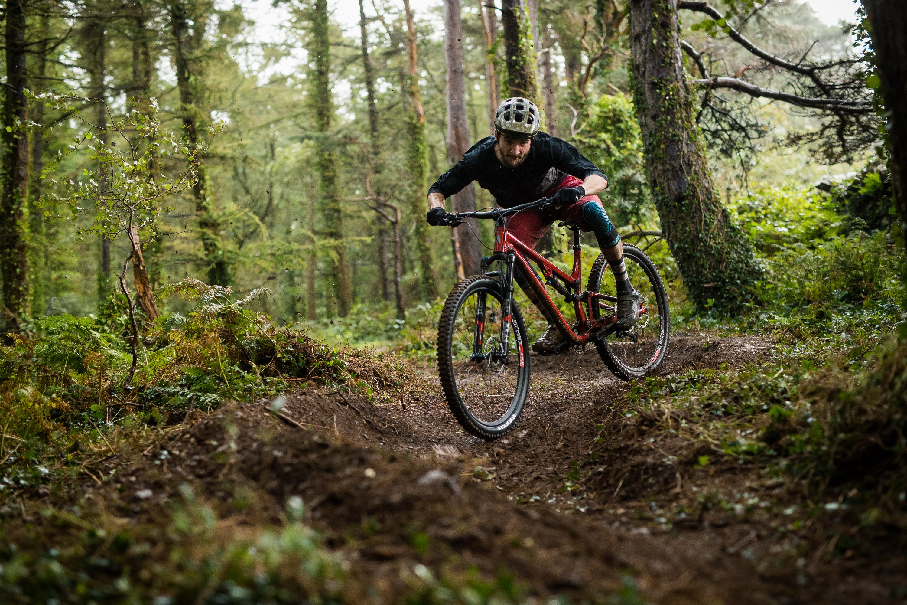 Person riding a mountain bike on a trail in a forest