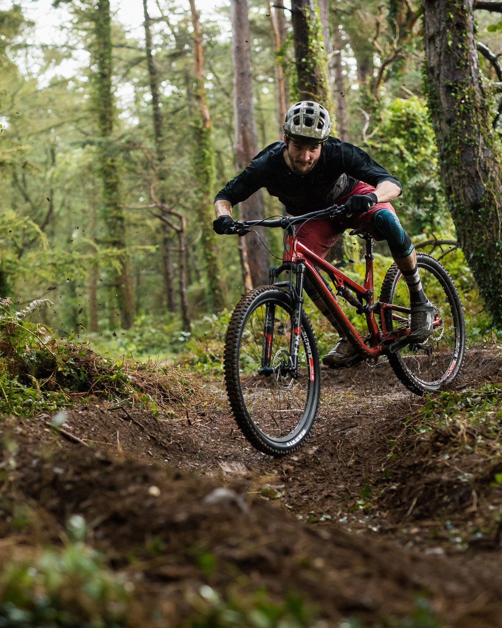 Person riding a mountain bike on a trail in a forest