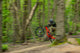 Person on a red mountain bike in mid-air over a dirt trail with trees in the background