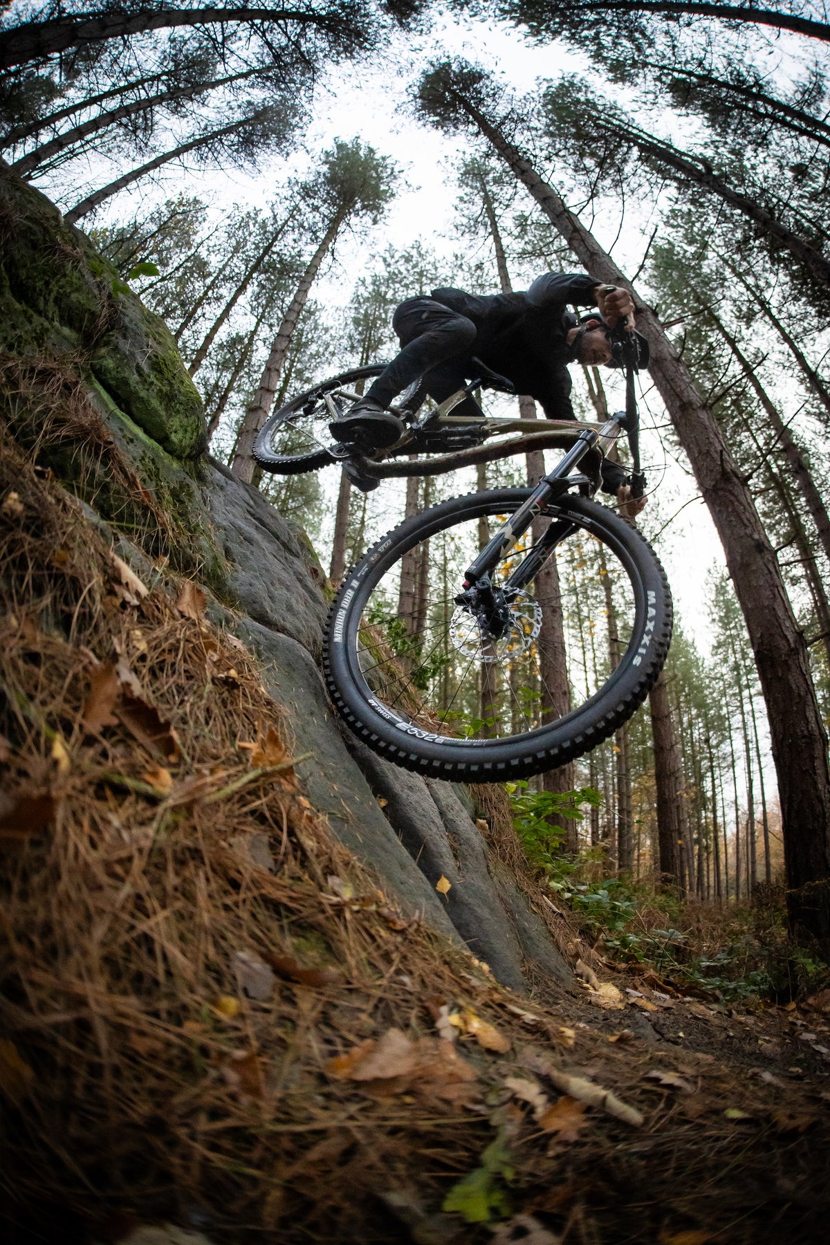 Person on a mountain bike performing a jump in a forest
