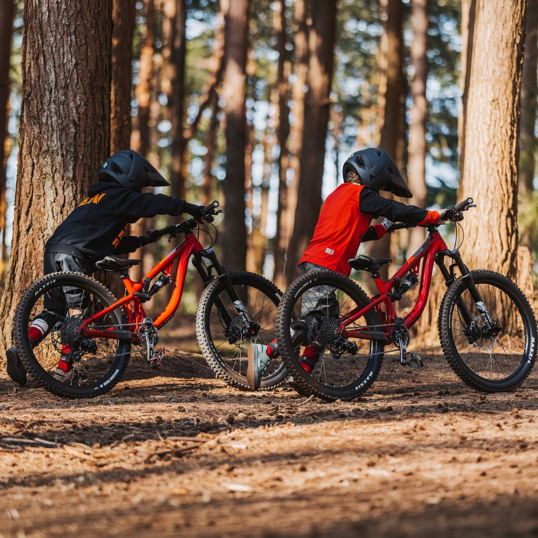 Two children on red bicycles in a forest setting